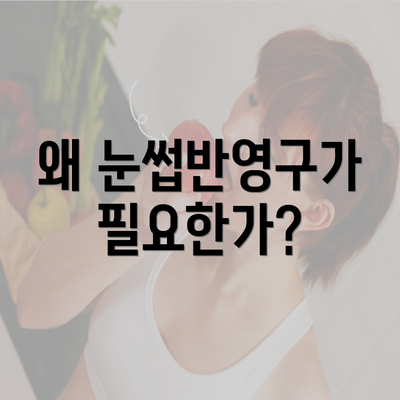 왜 눈썹반영구가 필요한가?