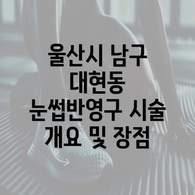 울산시 남구 대현동 눈썹반영구 시술 개요 및 장점