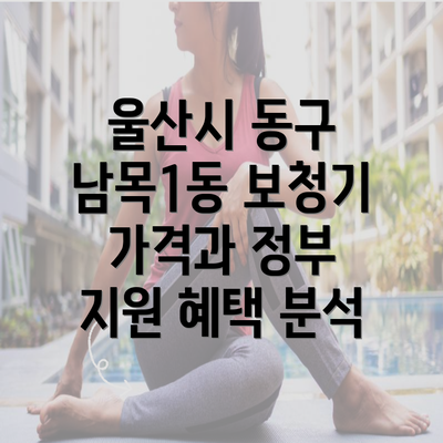 울산시 동구 남목1동 보청기 가격과 정부 지원 혜택 분석