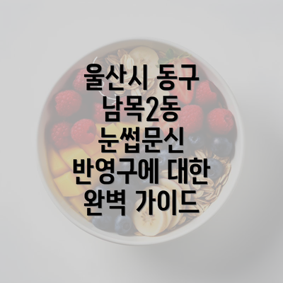 울산시 동구 남목2동 눈썹문신 반영구에 대한 완벽 가이드