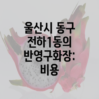 울산시 동구 전하1동의 반영구화장: 비용