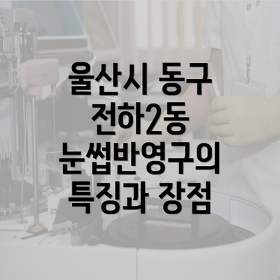 울산시 동구 전하2동 눈썹반영구의 특징과 장점