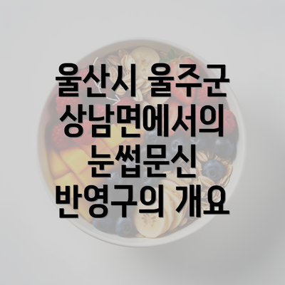 울산시 울주군 상남면에서의 눈썹문신 반영구의 개요