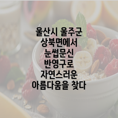 울산시 울주군 상북면에서 눈썹문신 반영구로 자연스러운 아름다움을 찾다