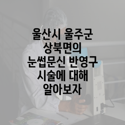 울산시 울주군 상북면의 눈썹문신 반영구 시술에 대해 알아보자