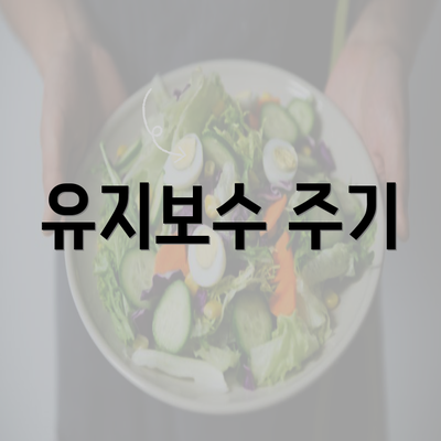 유지보수 주기