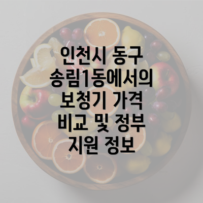 인천시 동구 송림1동에서의 보청기 가격 비교 및 정부 지원 정보