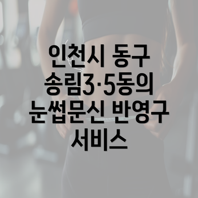 인천시 동구 송림3·5동의 눈썹문신 반영구 서비스