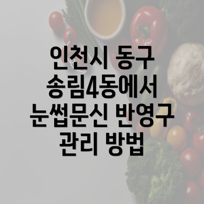 인천시 동구 송림4동에서 눈썹문신 반영구 관리 방법