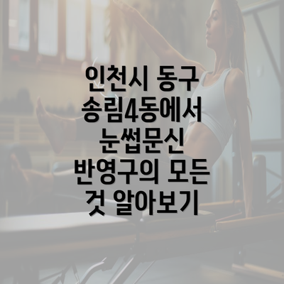 인천시 동구 송림4동에서 눈썹문신 반영구의 모든 것 알아보기