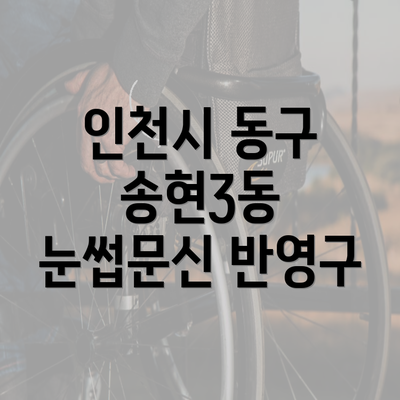 인천시 동구 송현3동 눈썹문신 반영구