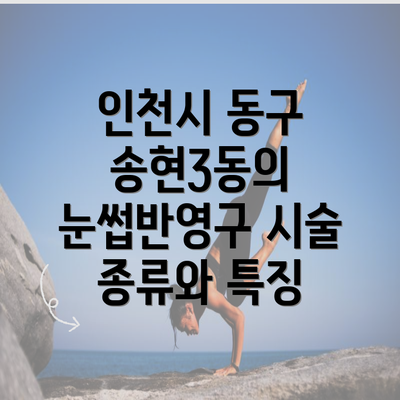 인천시 동구 송현3동의 눈썹반영구 시술 종류와 특징