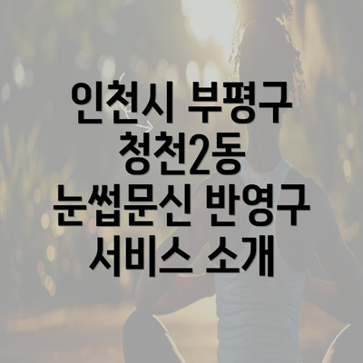 인천시 부평구 청천2동 눈썹문신 반영구 서비스 소개