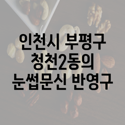 인천시 부평구 청천2동의 눈썹문신 반영구