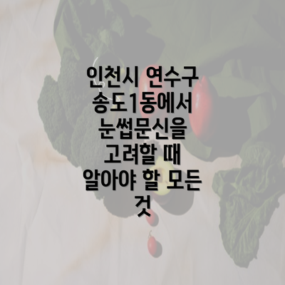 인천시 연수구 송도1동에서 눈썹문신을 고려할 때 알아야 할 모든 것