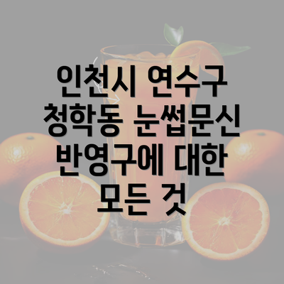 인천시 연수구 청학동 눈썹문신 반영구에 대한 모든 것