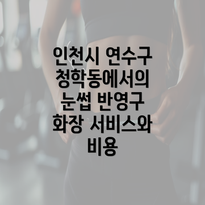 인천시 연수구 청학동에서의 눈썹 반영구 화장 서비스와 비용