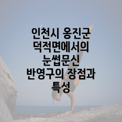 인천시 옹진군 덕적면에서의 눈썹문신 반영구의 장점과 특성