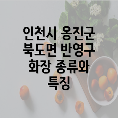 인천시 옹진군 북도면 반영구 화장 종류와 특징