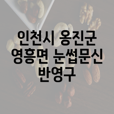 인천시 옹진군 영흥면 눈썹문신 반영구