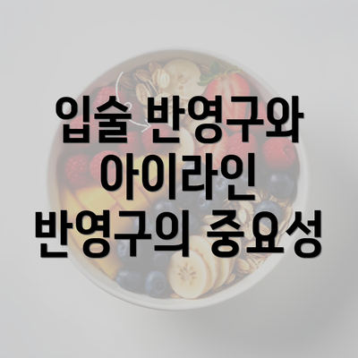 입술 반영구와 아이라인 반영구의 중요성