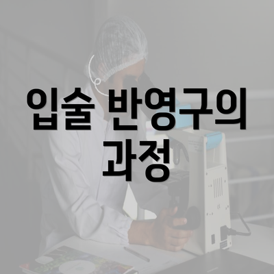 입술 반영구의 과정