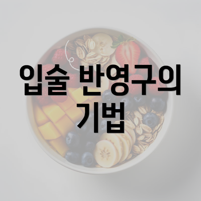 입술 반영구의 기법