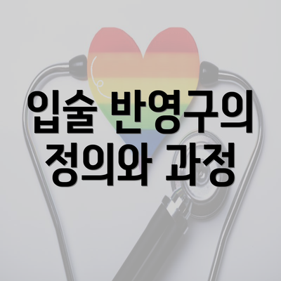 입술 반영구의 정의와 과정