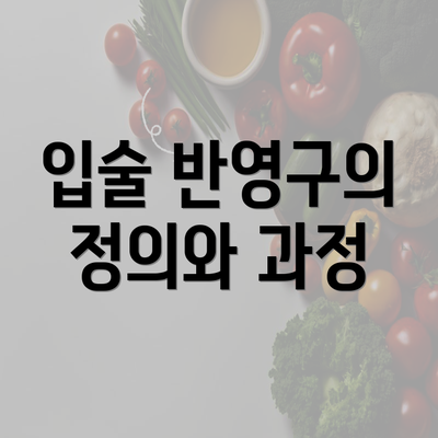 입술 반영구의 정의와 과정