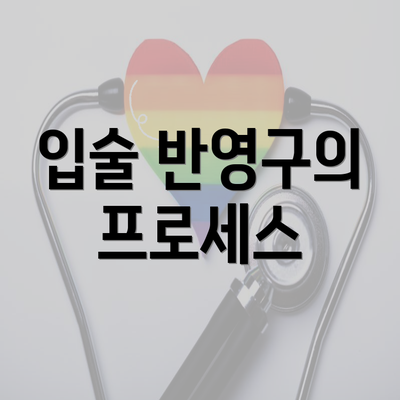 입술 반영구의 프로세스