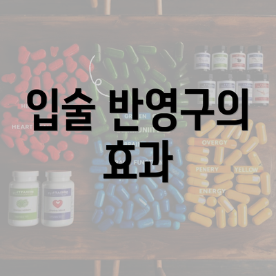 입술 반영구의 효과