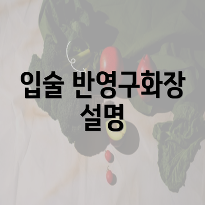 입술 반영구화장 설명