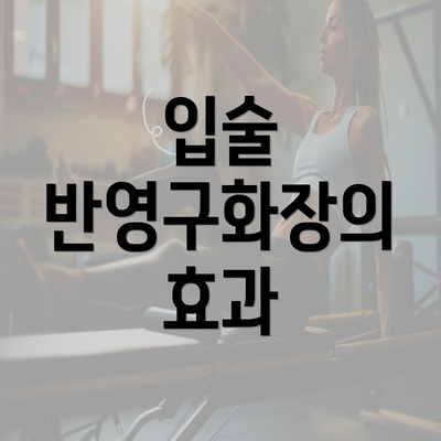 입술 반영구화장의 효과