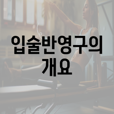 입술반영구의 개요