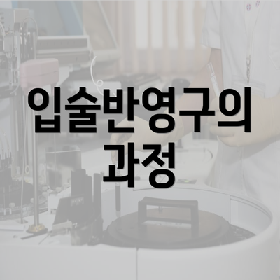 입술반영구의 과정