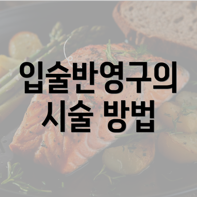 입술반영구의 시술 방법