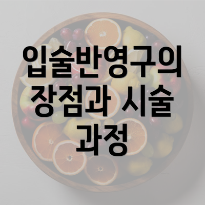 입술반영구의 장점과 시술 과정