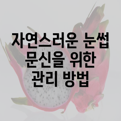 자연스러운 눈썹 문신을 위한 관리 방법