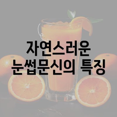 자연스러운 눈썹문신의 특징