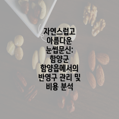 자연스럽고 아름다운 눈썹문신: 함양군 함양읍에서의 반영구 관리 및 비용 분석