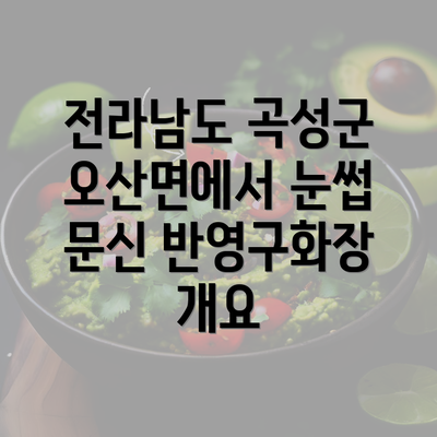 전라남도 곡성군 오산면에서 눈썹 문신 반영구화장 개요