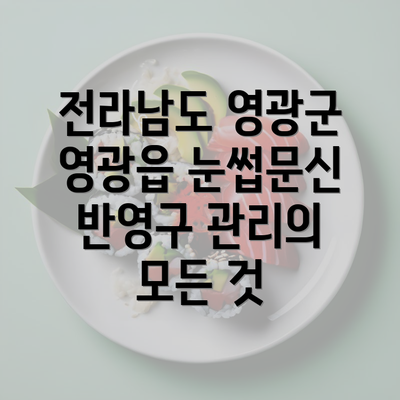 전라남도 영광군 영광읍 눈썹문신 반영구 관리의 모든 것