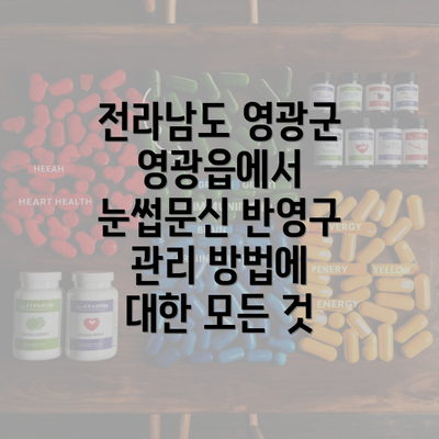 전라남도 영광군 영광읍에서 눈썹문신 반영구 관리 방법에 대한 모든 것