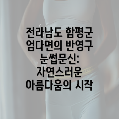 전라남도 함평군 엄다면의 반영구 눈썹문신: 자연스러운 아름다움의 시작