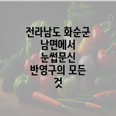 전라남도 화순군 남면에서 눈썹문신 반영구의 모든 것