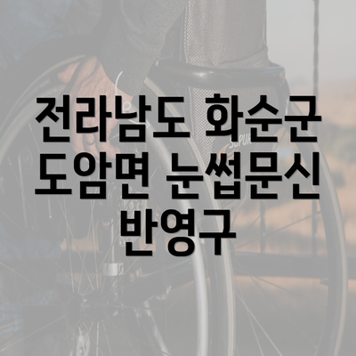 전라남도 화순군 도암면 눈썹문신 반영구