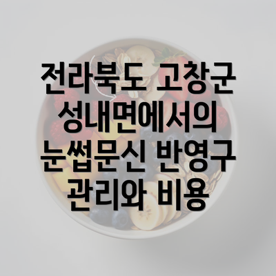 전라북도 고창군 성내면에서의 눈썹문신 반영구 관리와 비용