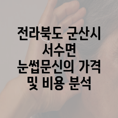 전라북도 군산시 서수면 눈썹문신의 가격 및 비용 분석