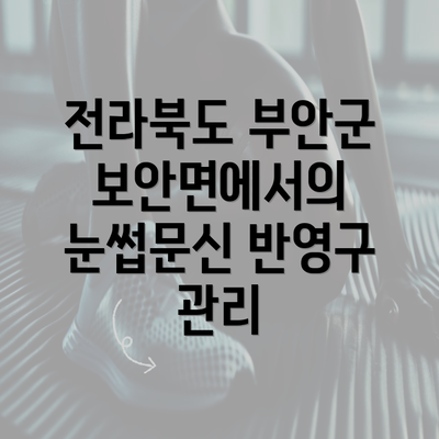 전라북도 부안군 보안면에서의 눈썹문신 반영구 관리