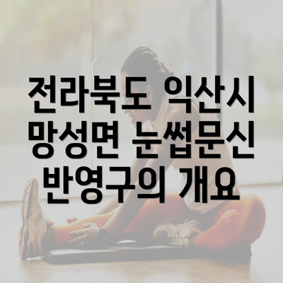 전라북도 익산시 망성면 눈썹문신 반영구의 개요